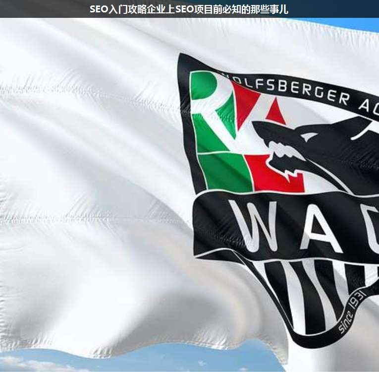 SEO入門攻略企業(yè)上SEO項目前必知的那些事兒