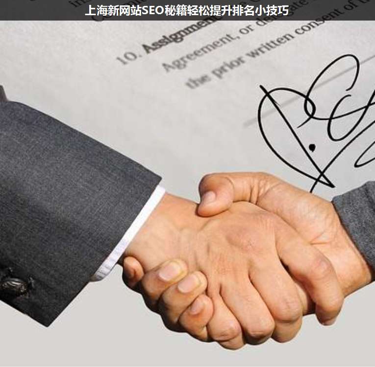 上海新網(wǎng)站SEO秘籍輕松提升排名小技巧