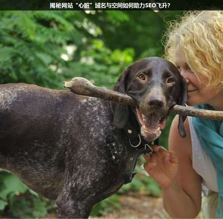 揭秘網(wǎng)站“心臟”域名與空間如何助力SEO飛升?