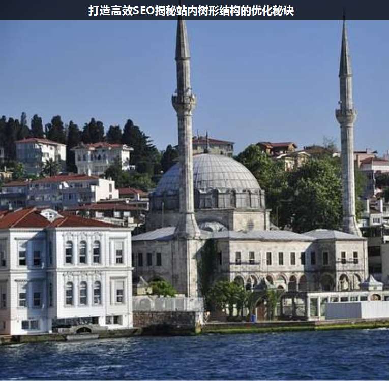 打造高效SEO揭秘站內(nèi)樹形結(jié)構(gòu)的優(yōu)化秘訣