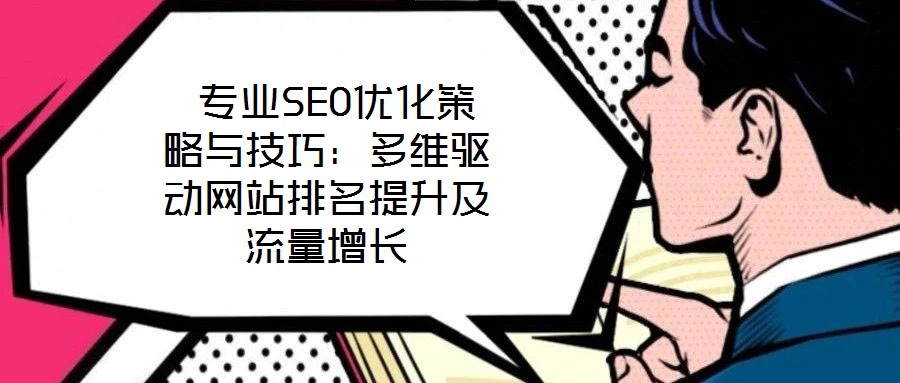  專業(yè)SEO優(yōu)化策略與技巧：多維驅動網(wǎng)站排名提升及流量增長