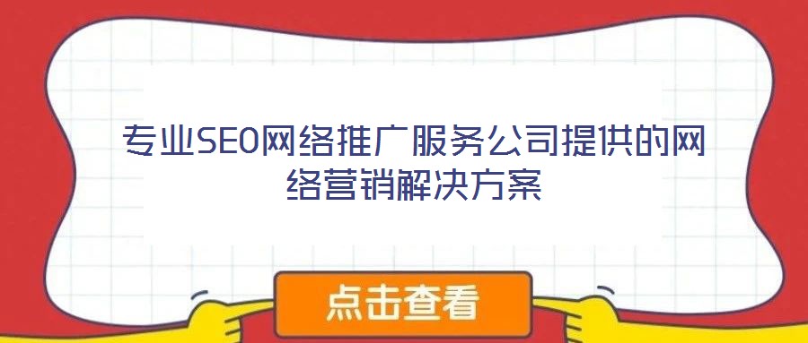 專業(yè)SEO網(wǎng)絡(luò)推廣服務(wù)公司提供的網(wǎng)絡(luò)營銷解決方案