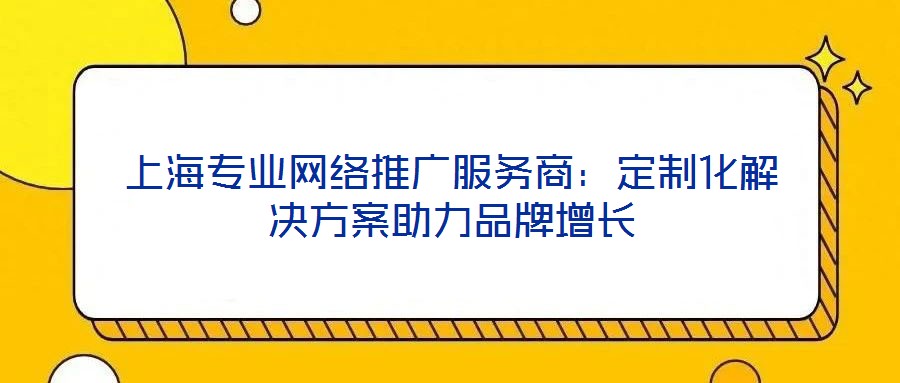 上海專業(yè)網(wǎng)絡推廣服務商：定制化解決方案助力品牌增長