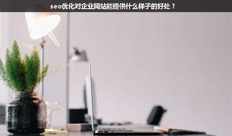 seo優(yōu)化對(duì)企業(yè)網(wǎng)站能提供什么樣子的好處？